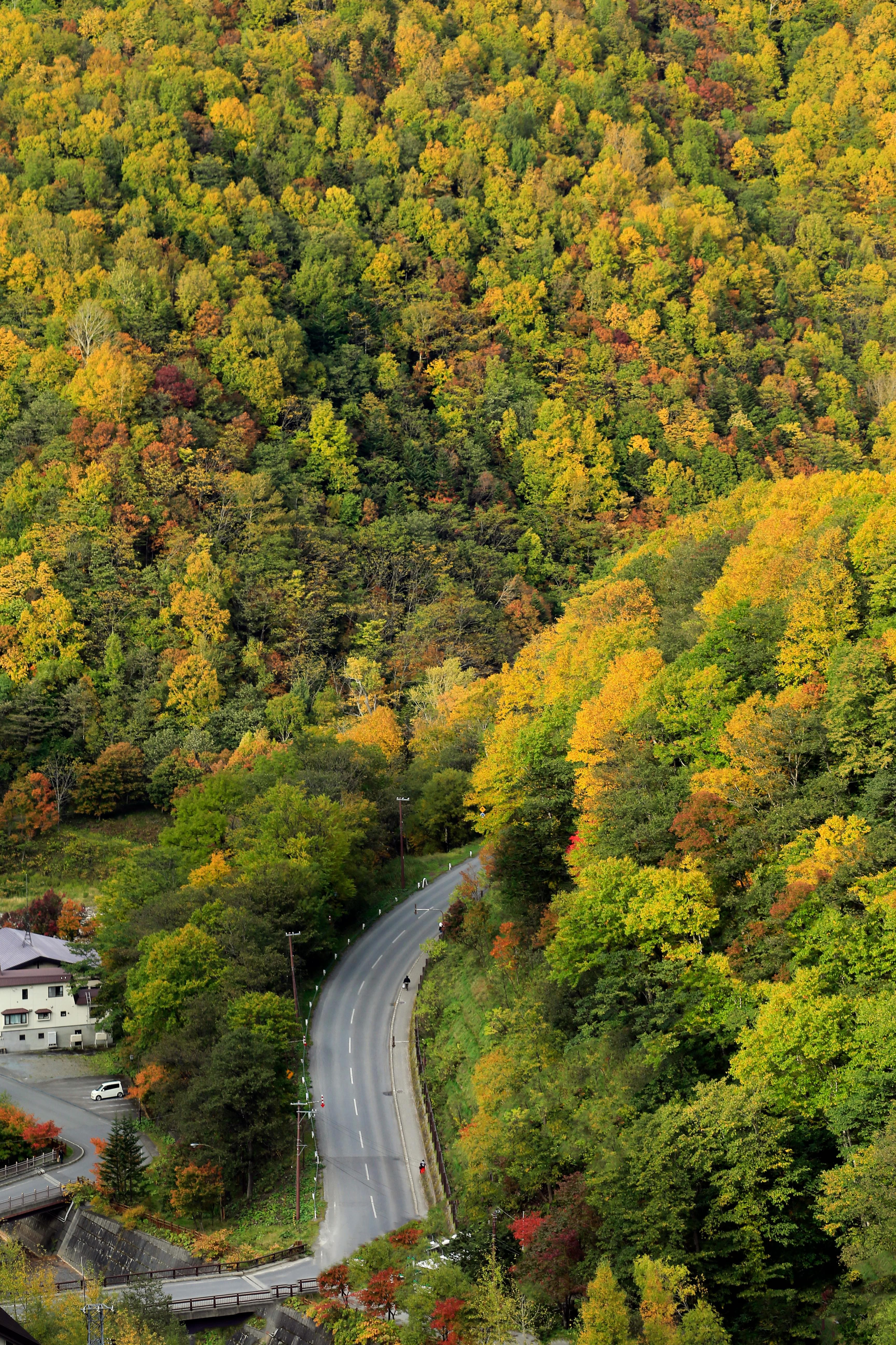 Sıcaklıklarla Mücadele: İspanya'nın İklim Sığınakları Ağı